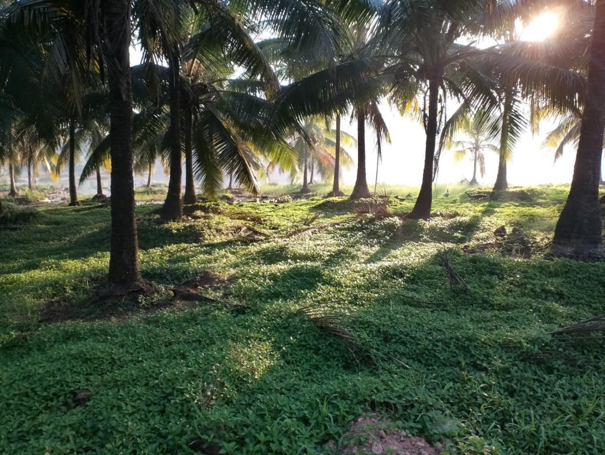 Bekal Village Homestay Kasaragod Exterior photo
